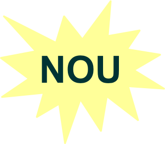 Icona nou