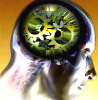 experto experto